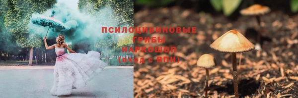соль ск Бородино