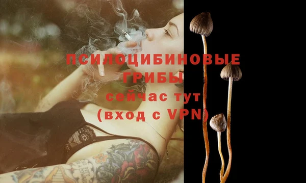 мяу мяу мука Бронницы