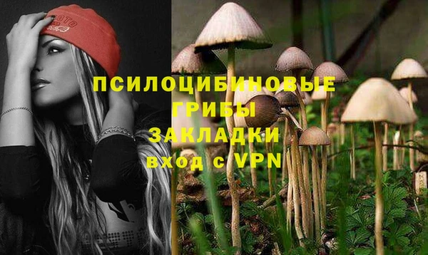 прущая мука Верхний Тагил