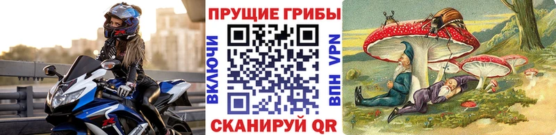 Псилоцибиновые грибы прущие грибы Новоржев