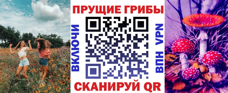 Купить  Новоржев  Псилоцибиновые грибы Cubensis 