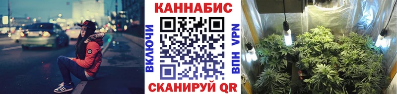 Канабис VHQ  Купить где  Новоржев 